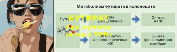 сатива Богданович